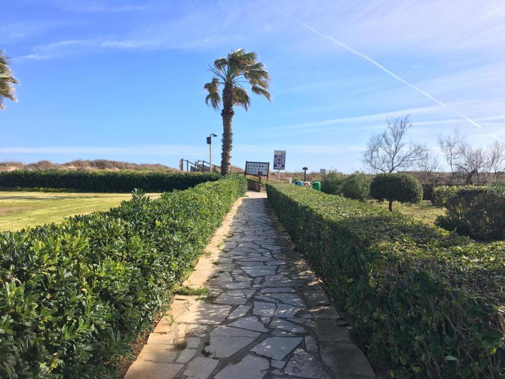 Apartamento A 100 Metros De La Playa Con Grande Terraza Y Vistas Al Mar ダイムス エクステリア 写真