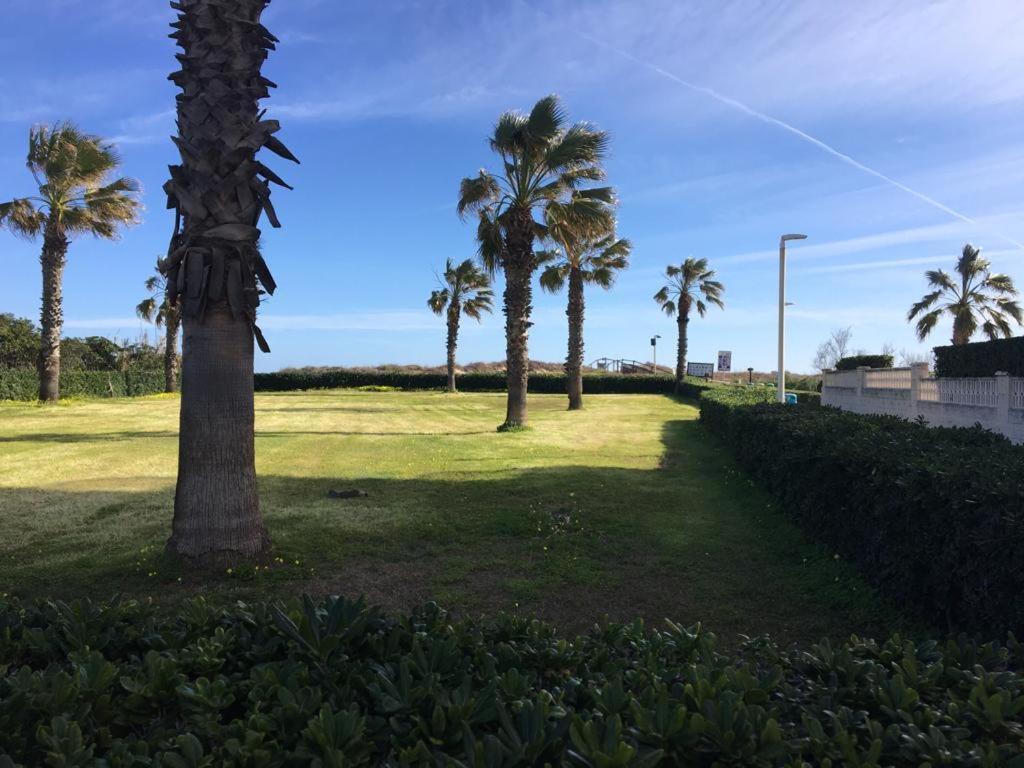 Apartamento A 100 Metros De La Playa Con Grande Terraza Y Vistas Al Mar ダイムス エクステリア 写真